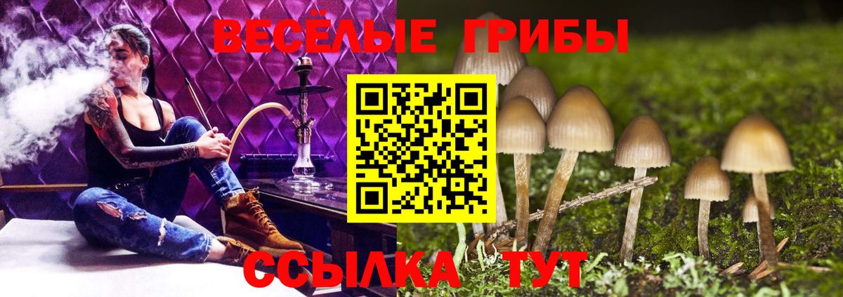 Омск  Псилоцибиновые грибы прущие грибы  Вход с VPN 
