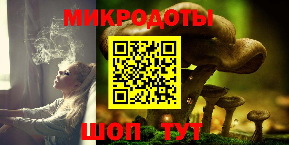 Галлюциногенные грибы Psilocybine cubensis Омск